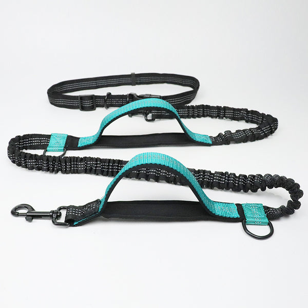 Amazon pet leash portable running reflective double retractable dog leash dog chain leash pet supplies