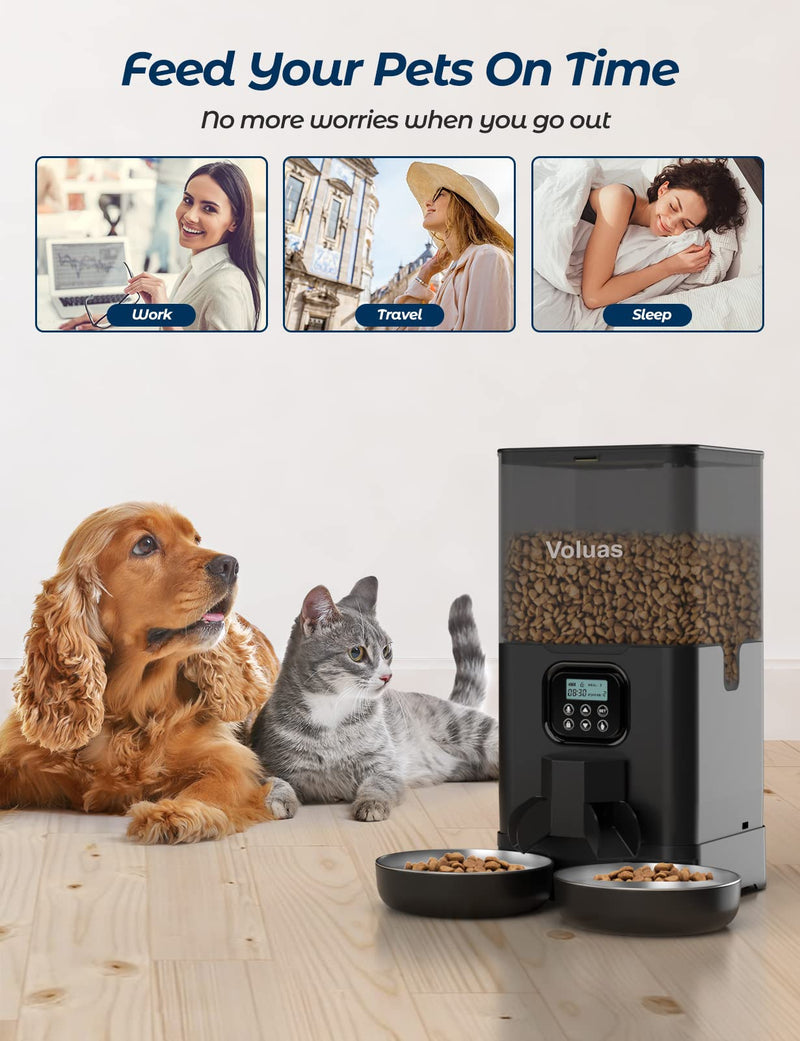 Hot Selling Feeder Double Meal Feeder Pet Smart Feeder Pet Automatic Feeder